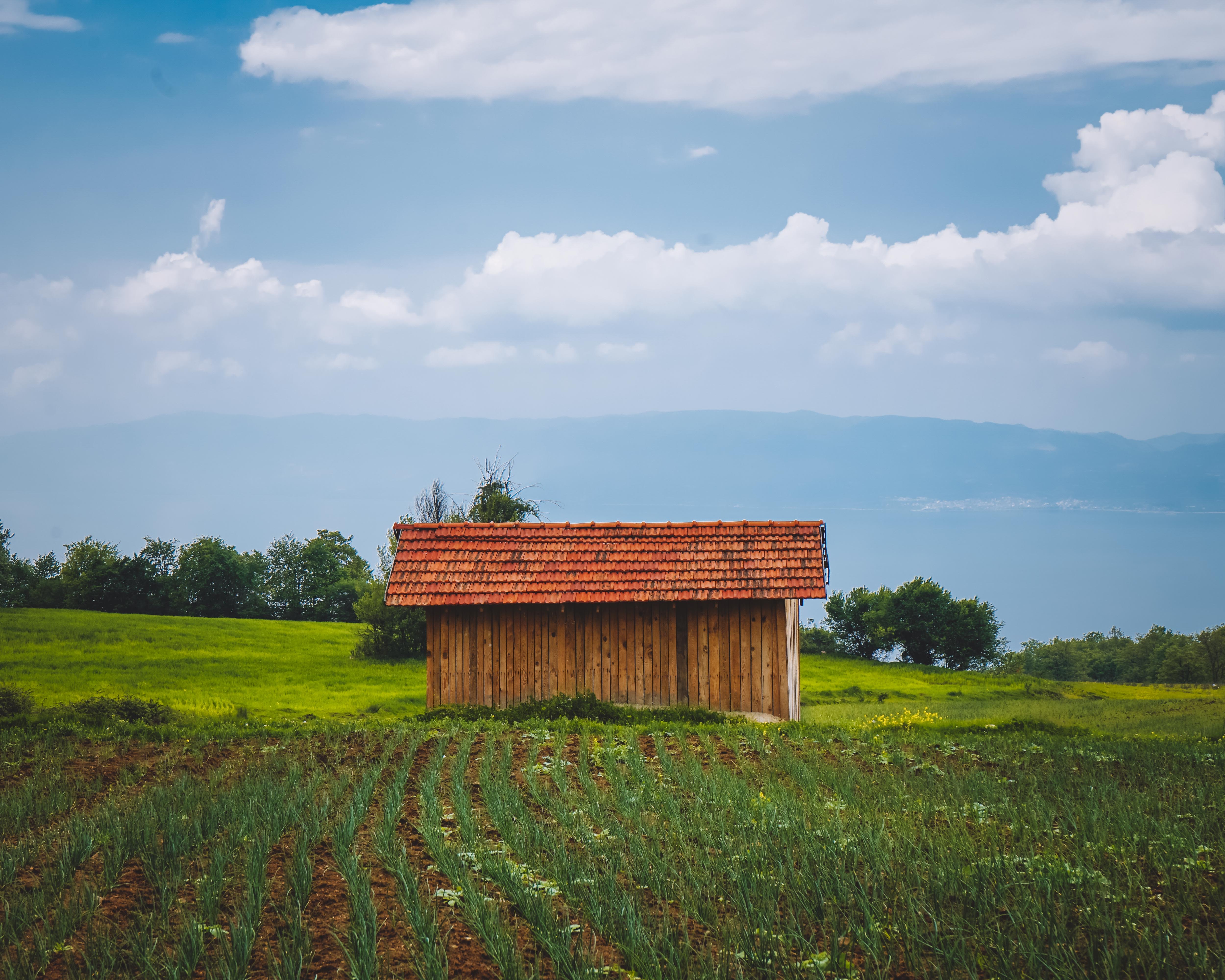 Tiny House